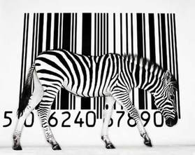 SA Barcodes zebra